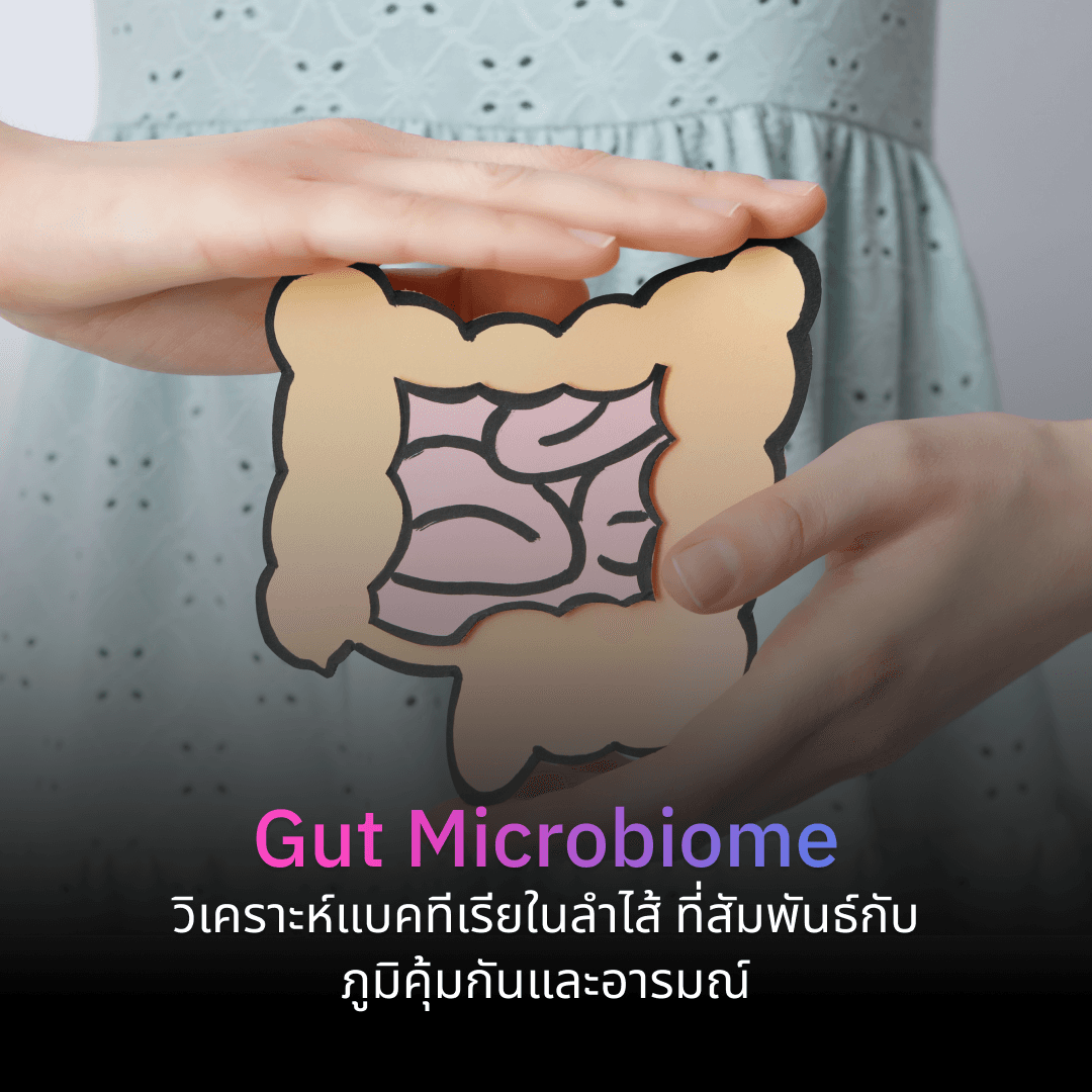 Gut Microbiome Mapping: การวิเคราะห์ความหลากหลายของแบคทีเรียในลำไส้ และความสัมพันธ์กับภูมิคุ้มกันและอารมณ์