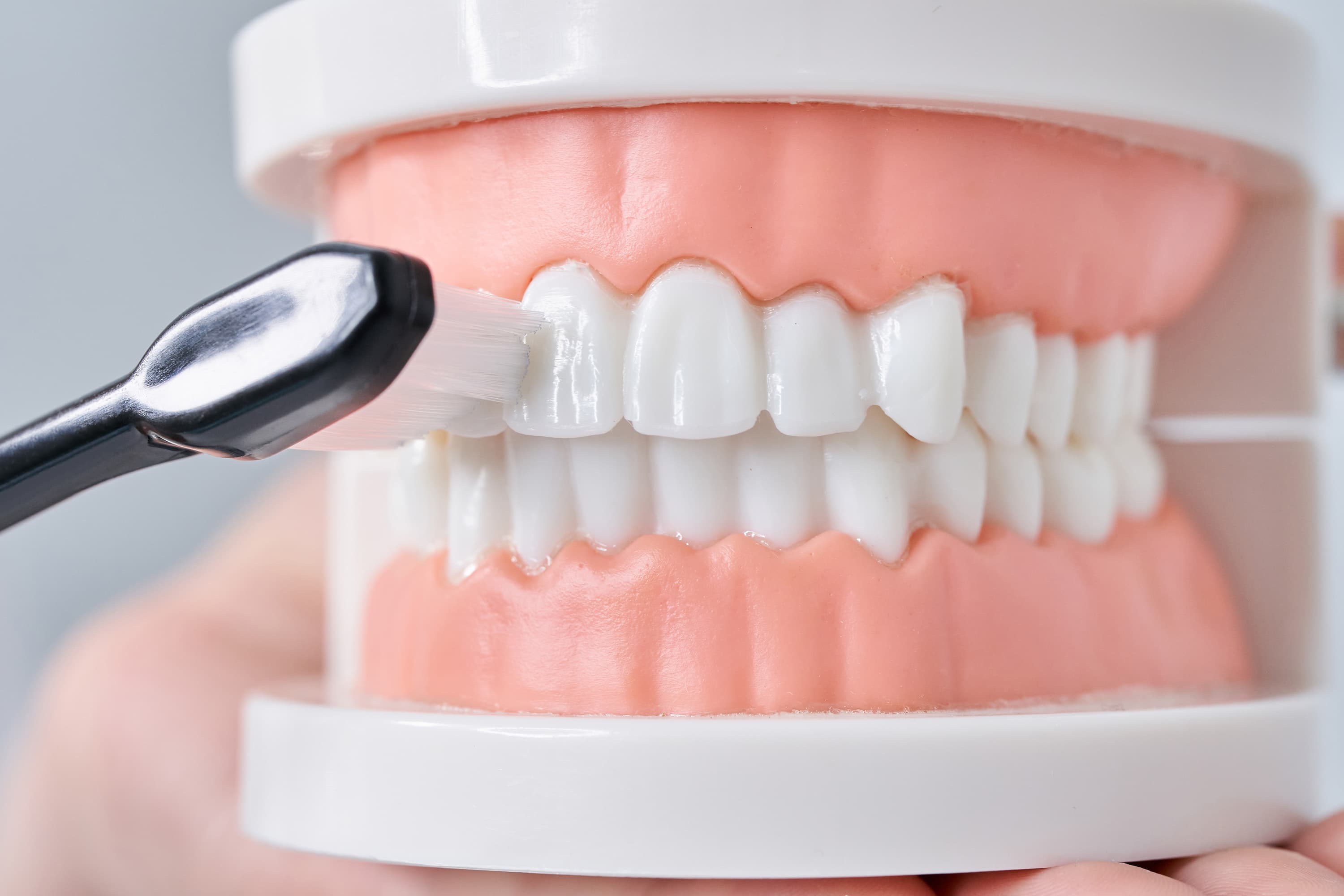 dental4