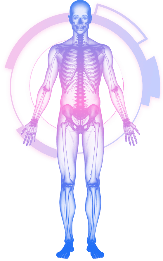 skeleton background